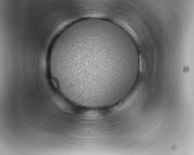 X0000103320252200809192147