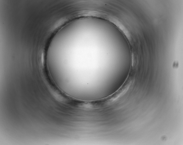 X0000103320253200809192147