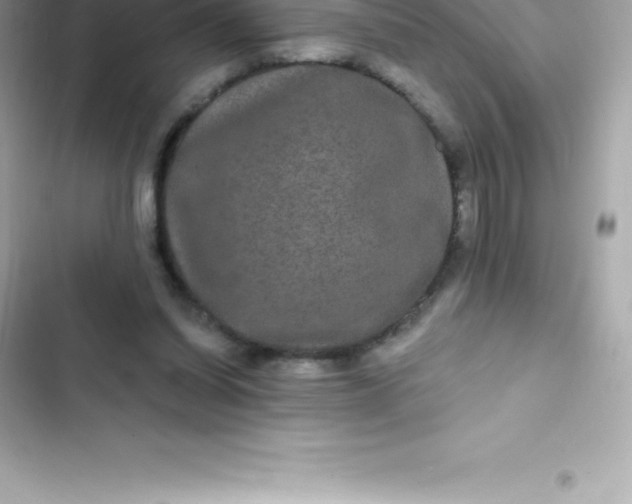 X0000103320254200809192147