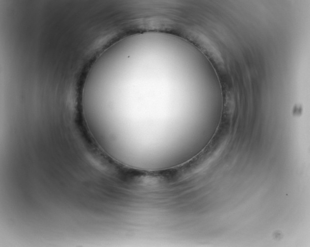 X0000103320255200809192147