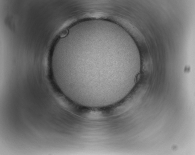 X0000103320256200809192147