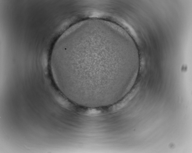 X0000103320257200809192147