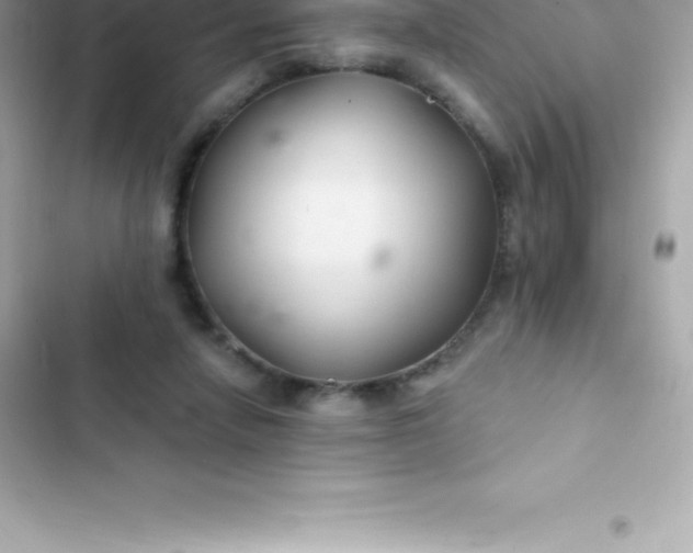 X0000103320258200809192147