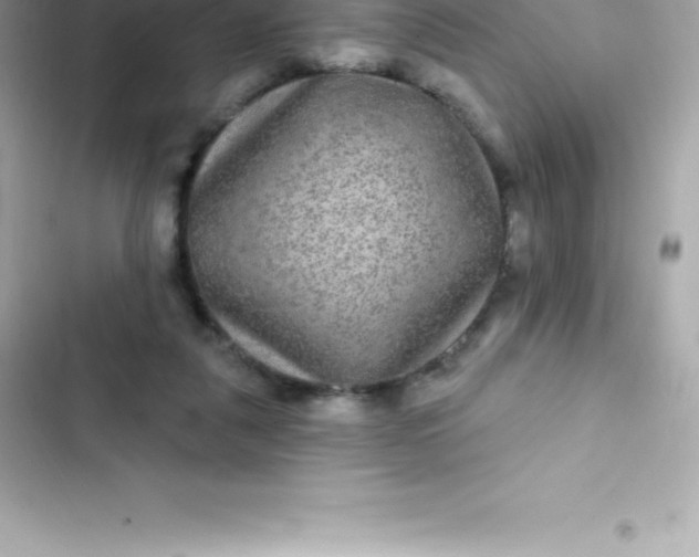 X0000103320259200809192147