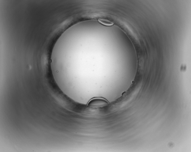 X0000103320260200809192147