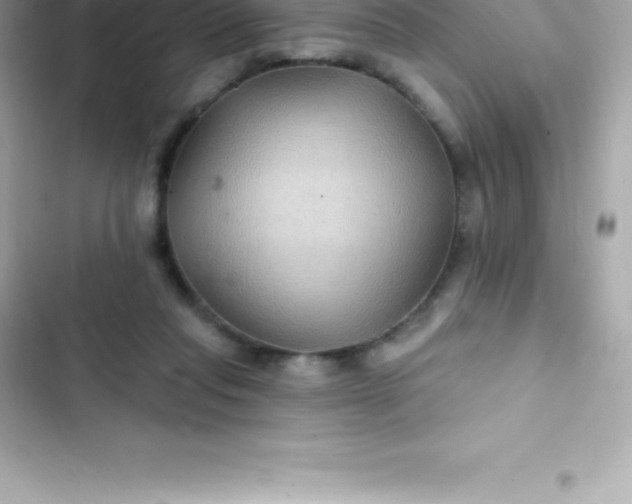 X0000103320261200809192147