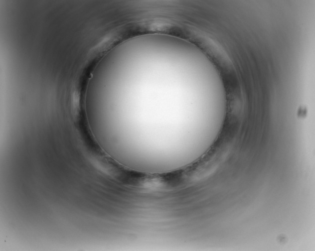 X0000103320262200809192147