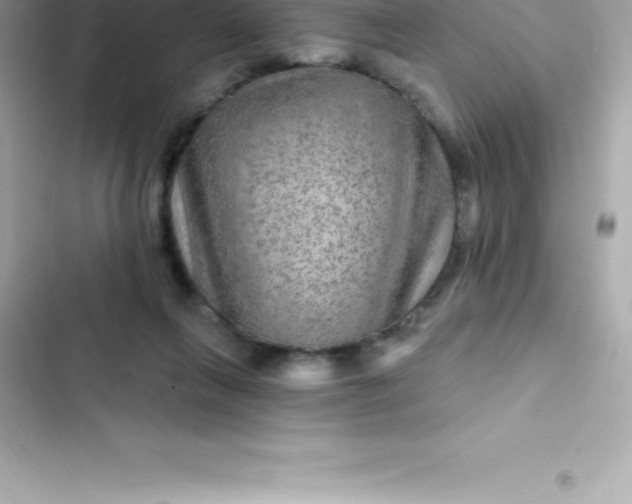 X0000103320263200809192147