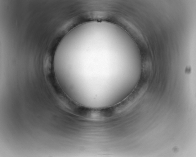 X0000103320264200809192147