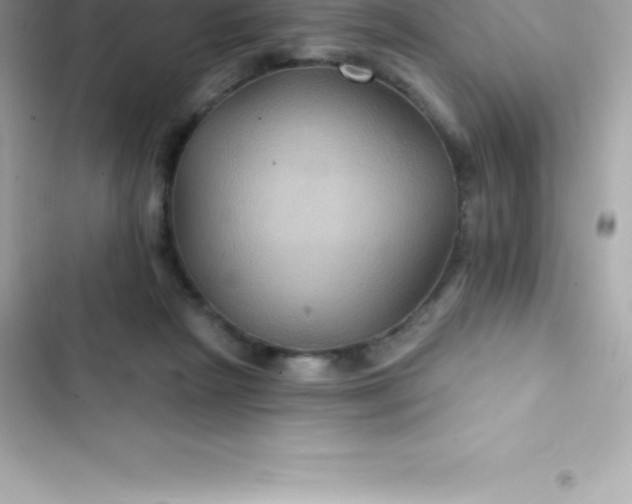 X0000103320265200809192147