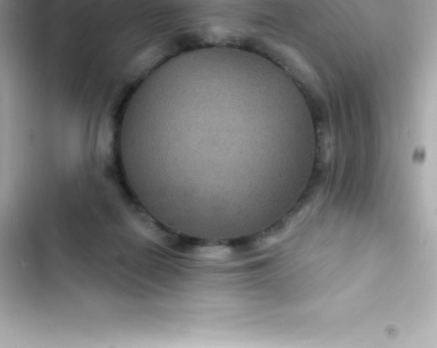 X0000103320266200809192147