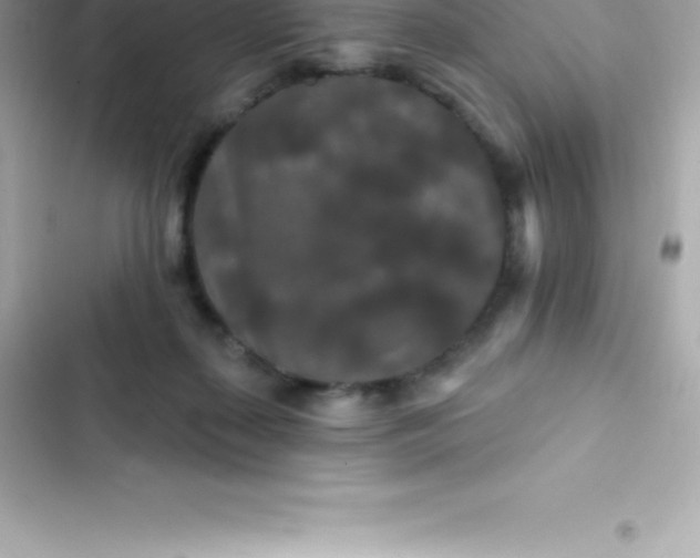 X0000103320267200809192147