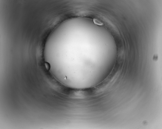 X0000103320268200809192147