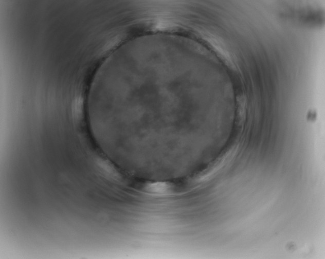 X0000103320269200809192147