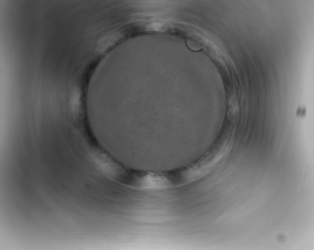 X0000103320270200809192147