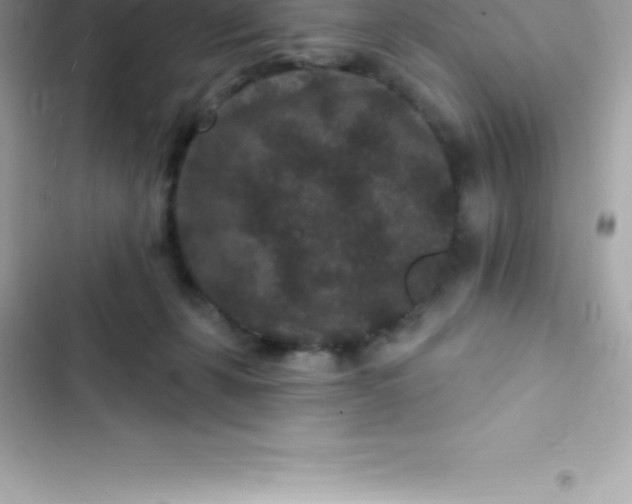 X0000103320271200809192147