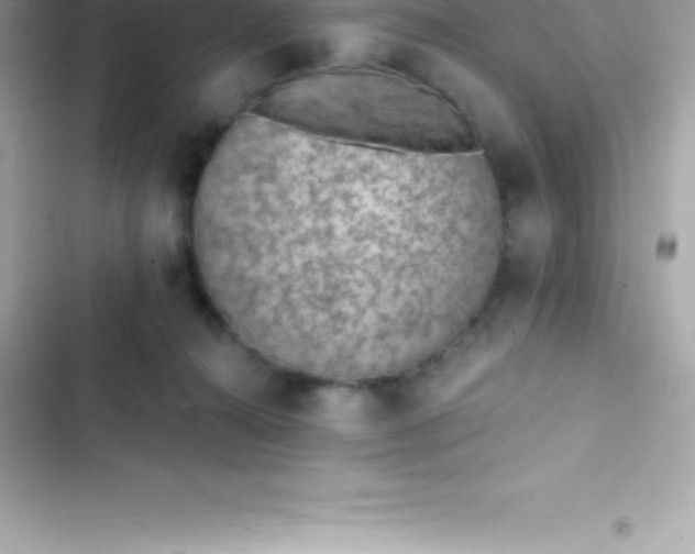 X0000103320272200809192147