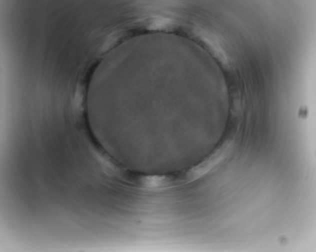 X0000103320273200809192147