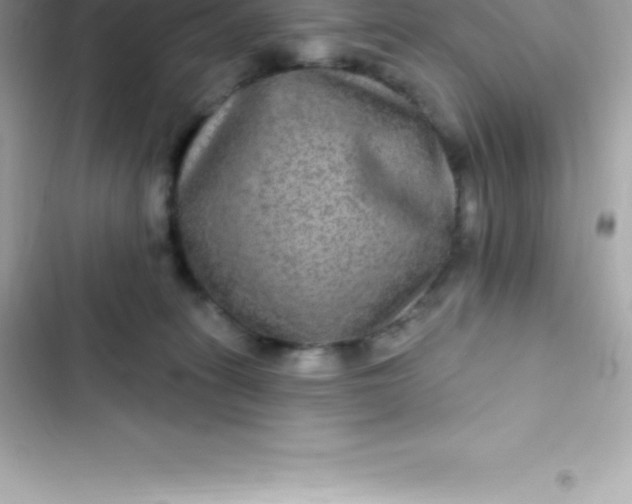 X0000103320275200809192147