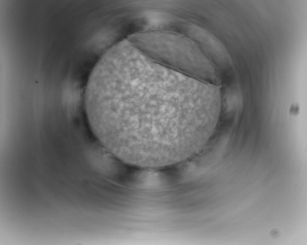 X0000103320276200809192147