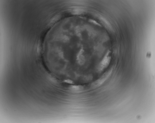 X0000103320277200809192147