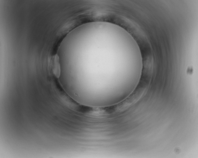 X0000103320278200809192147