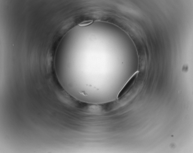 X0000103320279200809192147