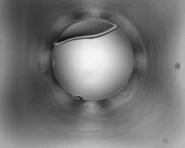 X0000103320280200809192147