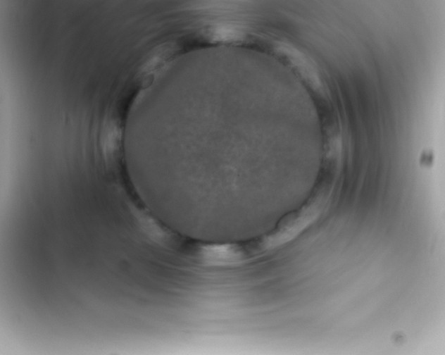 X0000103320281200809192147