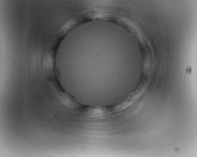 X0000103320282200809192147