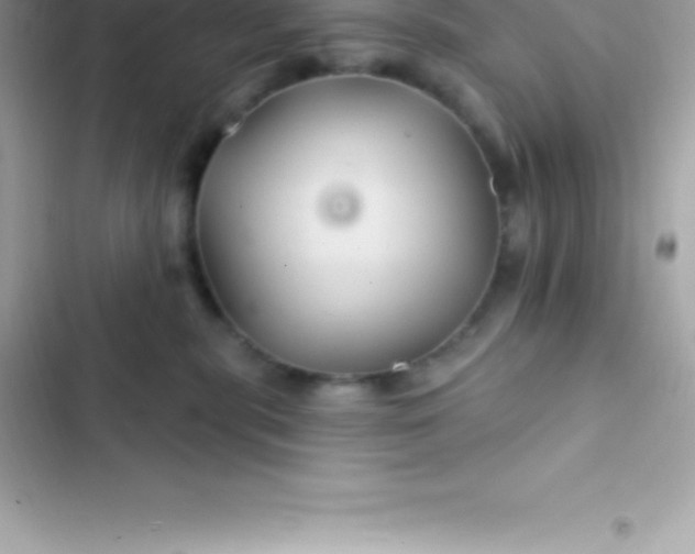 X0000103320283200809192147