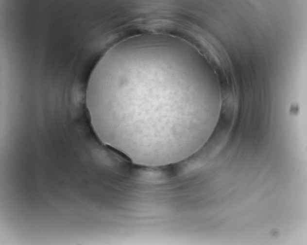 X0000103320284200809192147