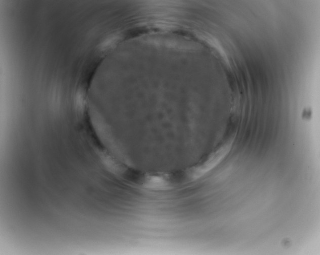 X0000103320285200809192147