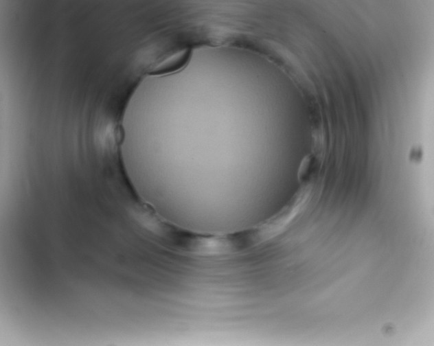 X0000103320286200809192147