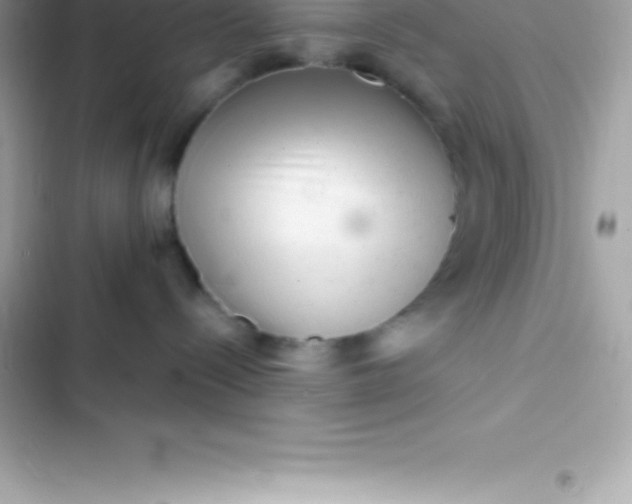 X0000103320288200809192147