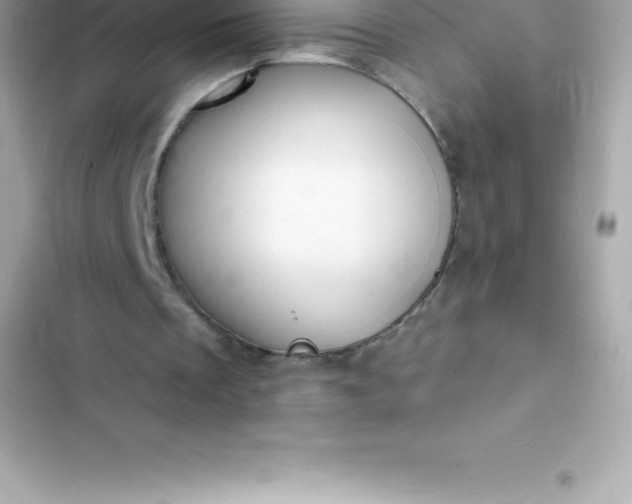 X0000103320289200809192146