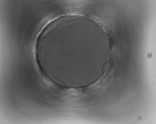 X0000103320290200809192146