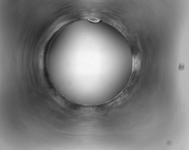 X0000103320291200809192146