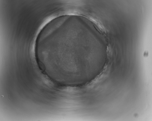 X0000103320292200809192146