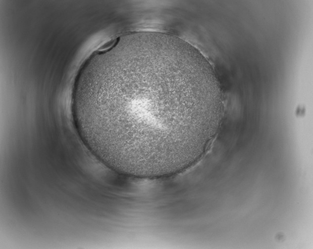 X0000103320293200809192146