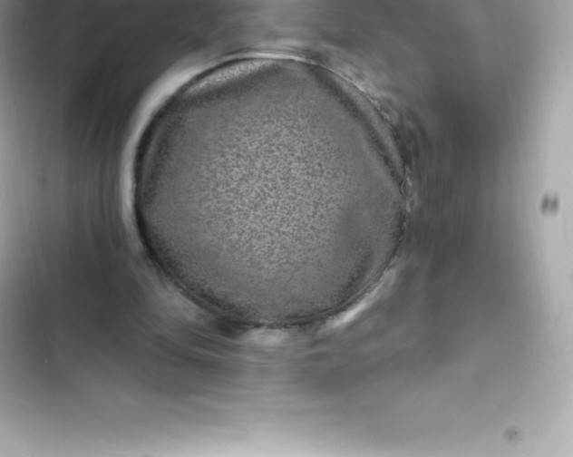 X0000103320294200809192146