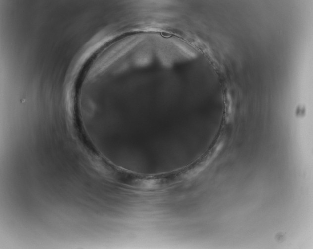 X0000103320295200809192146