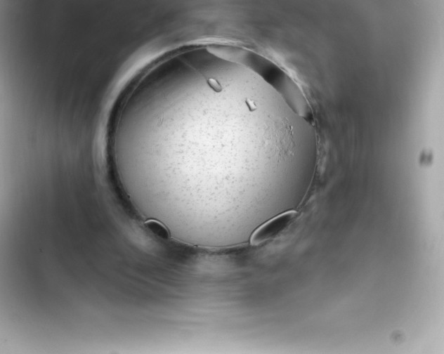 X0000103320296200809192146