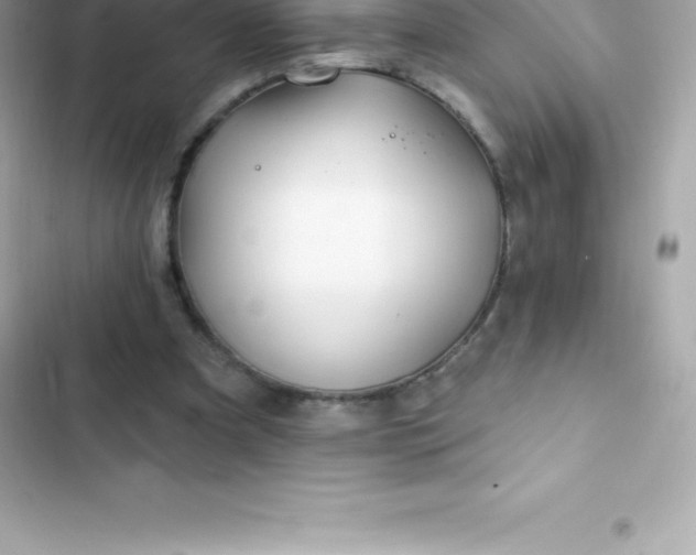 X0000103320297200809192146