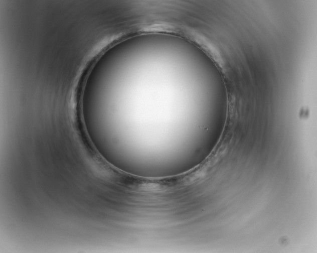 X0000103320298200809192146