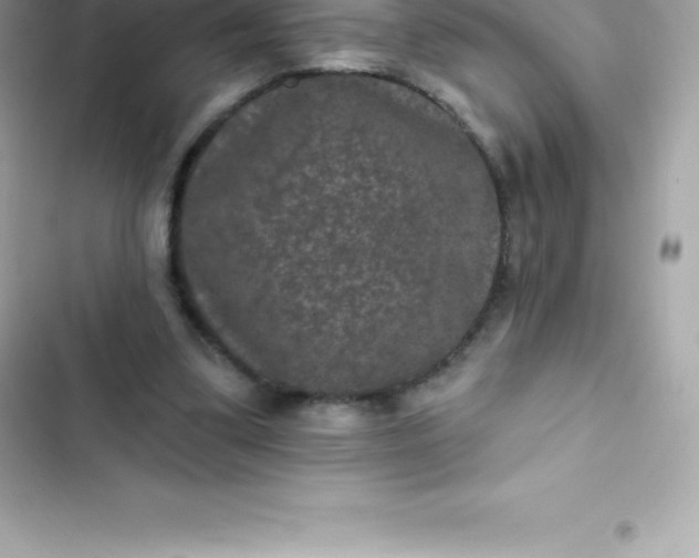 X0000103320299200809192146