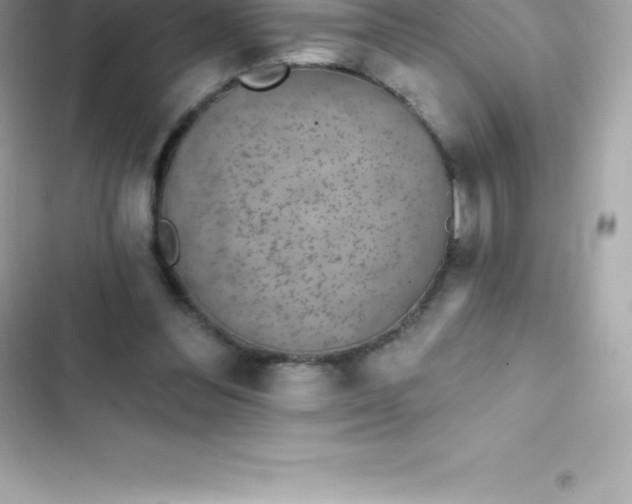 X0000103320300200809192146