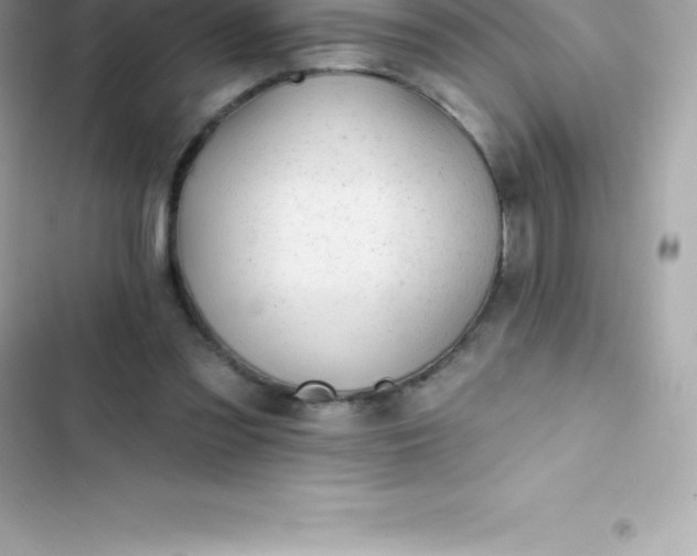 X0000103320301200809192146