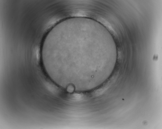 X0000103320302200809192146