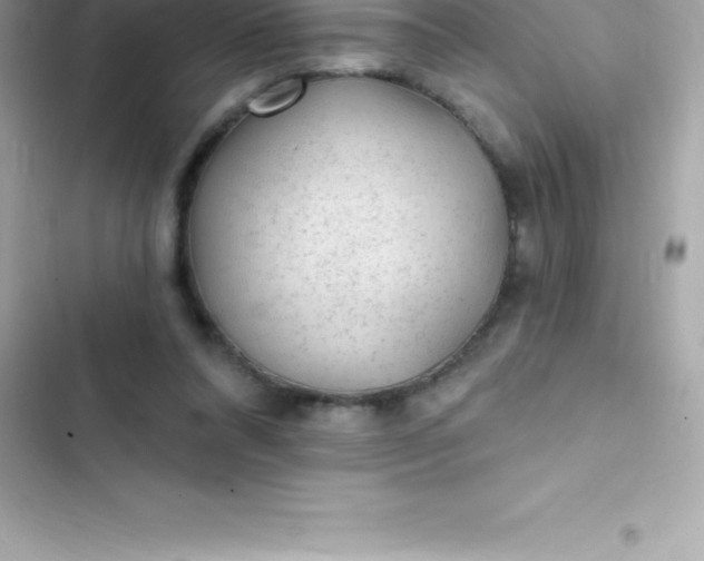 X0000103320304200809192146